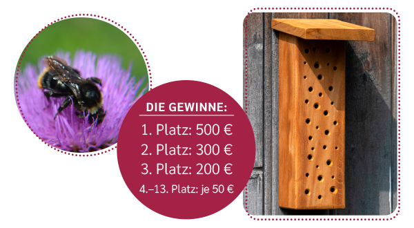 Großer Wettbewerb
