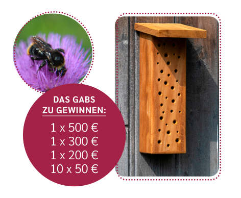 Großer Wettbewerb