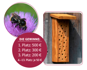 Großer Wettbewerb